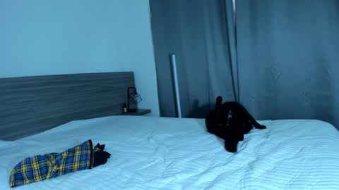 Snapshot of giannasue chatting on 01/11/25, 06:01 giannasue online show from 01/11/25, 06:01