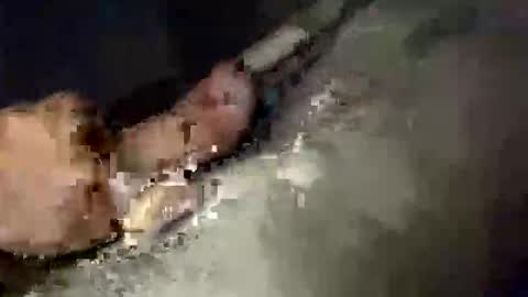 Snapshot of gifted2472 chatting on 10/12/25, 05:06 gifted2472 online show from 10/12/25, 05:06