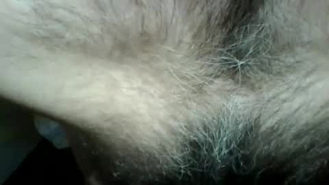 Snapshot of gigigegio chatting on 09/14/25, 06:07 gigigegio sky online show from 09/14/25, 06:07