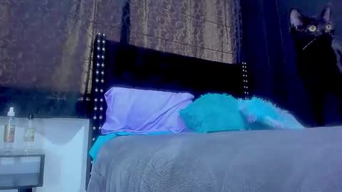 Snapshot of ginger_amarett chatting on 09/29/25, 05:40 Miss online show from 09/29/25, 05:40