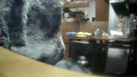 Snapshot of giovanne1 chatting on 12/08/24, 06:22 giovanne1 online show from 12/08/24, 06:22