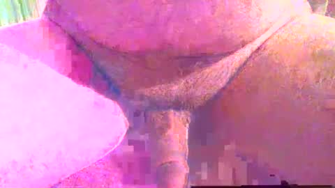 Snapshot of girafsnoop chatting on 12/01/25, 04:01 girafsnoop online show from 12/01/25, 04:01