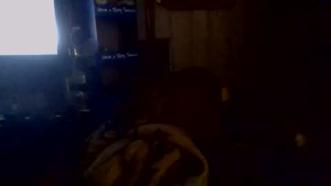 Snapshot of givr6inches chatting on 11/02/25, 05:10 e-Bizl online show from 11/02/25, 05:10