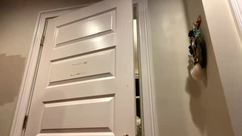 Snapshot of glegere18 chatting on 10/24/25, 03:14 Lets get wierd online show from 10/24/25, 03:14