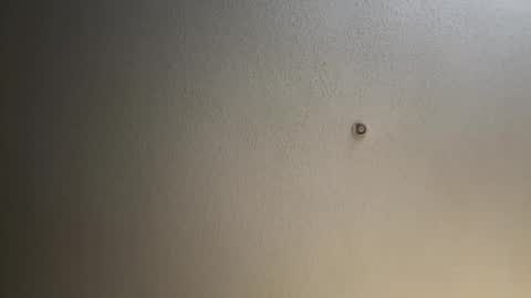 Snapshot of glo91dxck chatting on 12/02/24, 06:30 rubclit2000 online show from 12/02/24, 06:30