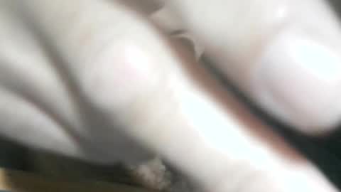 Snapshot of glyder1961 chatting on 11/14/25, 03:33 Glyder online show from 11/14/25, 03:33