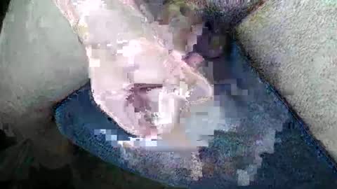 Snapshot of gman41000 chatting on 12/22/24, 04:06 Gman online show from 12/22/24, 04:06