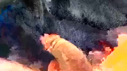 Snapshot of gman41000 chatting on 12/30/24, 03:25 Gman online show from 12/30/24, 03:25