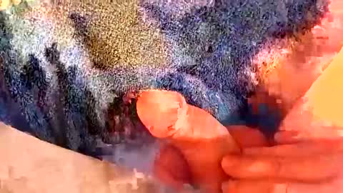 Snapshot of gman41000 chatting on 03/02/25, 06:27 Gman online show from 03/02/25, 06:27