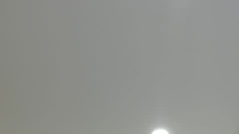 goath_08 online show from 01/19/25, 06:43