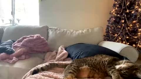 GoddessMayvn online show from 12/03/24, 06:17