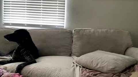 GoddessMayvn online show from 05/04/26, 03:41