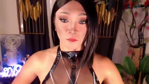 quinnie online show from 12/12/24, 04:59
