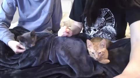 Goddess Raven online show from 12/06/24, 11:47