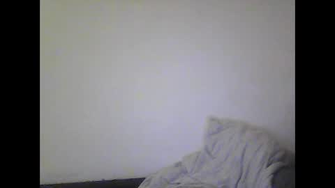 Snapshot of gohan8558 chatting on 12/24/24, 10:28 gohan8558 online show from 12/24/24, 10:28