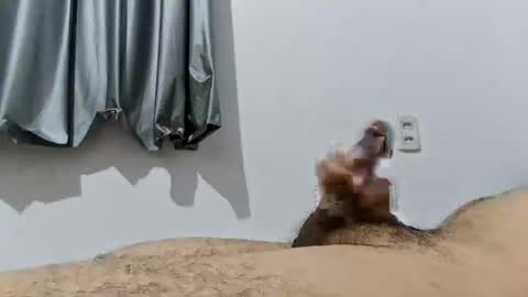 Good boy online show from 12/19/25, 01:23