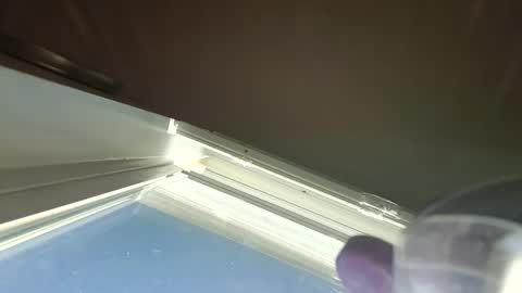 Snapshot of goosetrucker982440 chatting on 09/30/25, 02:00 goosetrucker982440 online show from 09/30/25, 02:00