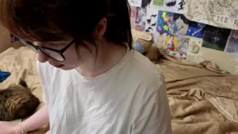 Amy online show from 05/20/26, 08:48
