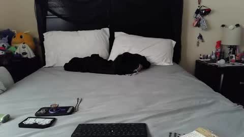 Snapshot of gothbaby305 chatting on 10/29/25, 01:46 gothbaby305 online show from 10/29/25, 01:46