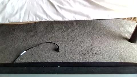 watch me stroke online show from 04/30/26, 04:46