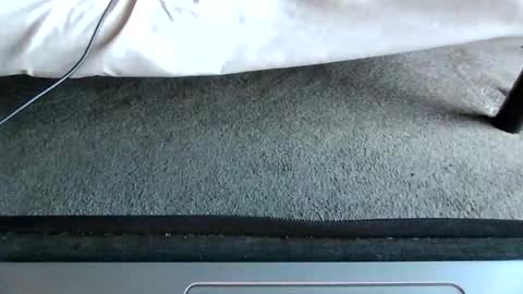 watch me stroke online show from 05/10/26, 11:04