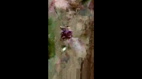 Snapshot of grabisz30 chatting on 05/11/26, 03:29 grabisz30 online show from 05/11/26, 03:29
