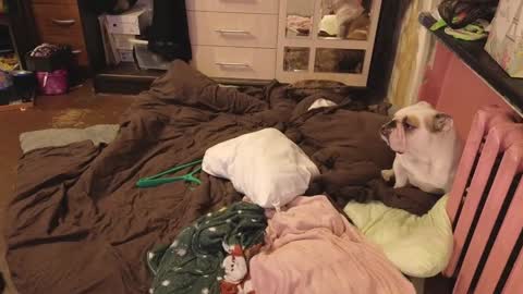 Snapshot of graylovescookies chatting on 12/29/24, 03:03 graylovescookies online show from 12/29/24, 03:03