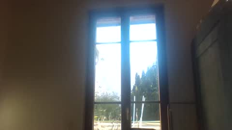 Greenmoon online show from 12/18/24, 11:45