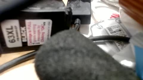 Greg online show from 06/30/26, 10:55