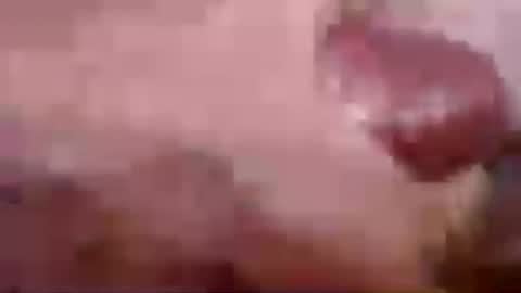 Greg online show from 07/22/26, 05:49