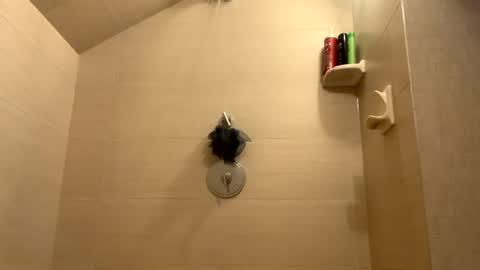 Snapshot of greyvan96 chatting on 12/31/24, 01:30 Perfectlyaveragesavage online show from 12/31/24, 01:30