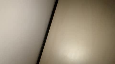 Snapshot of greyvan96 chatting on 02/17/25, 10:18 Perfectlyaveragesavage online show from 02/17/25, 10:18