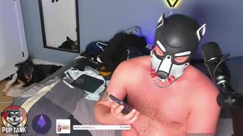 Snapshot of growingcub94 chatting on 11/23/25, 07:35 Alpha pup online show from 11/23/25, 07:35