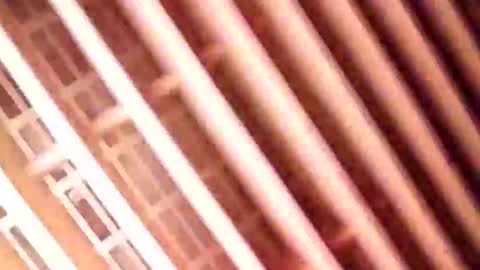 Gu online show from 01/09/25, 06:59