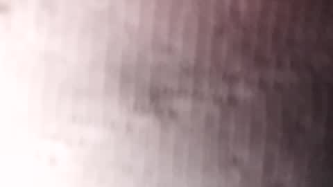 Gu online show from 01/20/25, 03:26