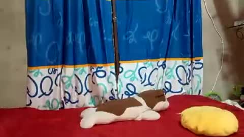 gusang92 online show from 07/20/26, 04:38