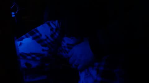 H2omygod online show from 01/25/25, 09:26