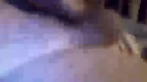 Snapshot of h_rd333 chatting on 03/11/25, 01:45 h_rd333 online show from 03/11/25, 01:45