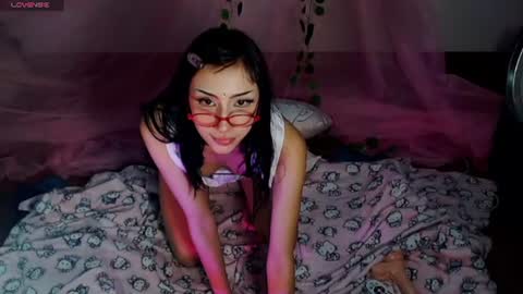 Hachi 3 online show from 07/15/26, 05:02