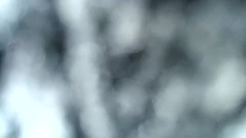 tatted blonde online show from 01/17/25, 12:53