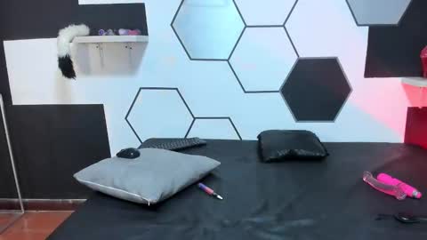 haileycat_ online show from 12/21/24, 04:52
