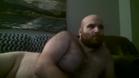Hairiest Bear online show from 01/11/25, 09:47