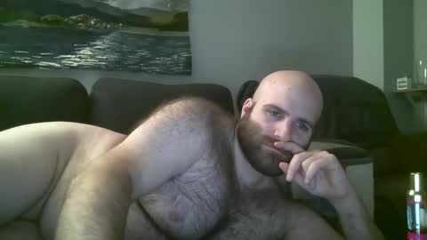 Hairiest Bear online show from 01/21/25, 07:58