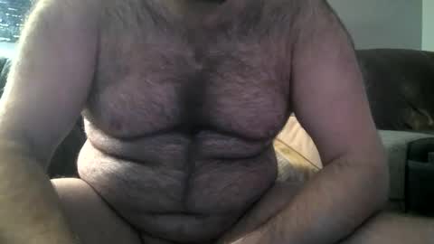 Hairiest Bear online show from 02/08/25, 10:39