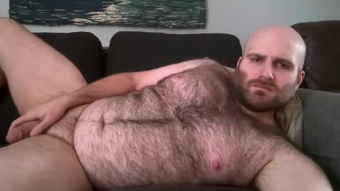 Hairiest Bear online show from 02/11/25, 04:02