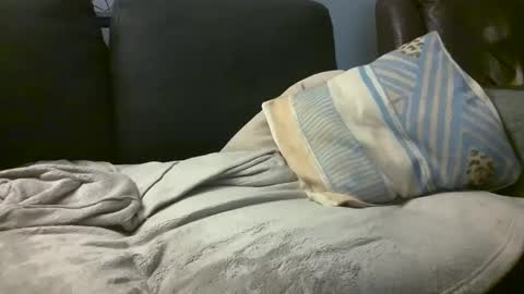 Hairiest Bear online show from 02/18/25, 08:16