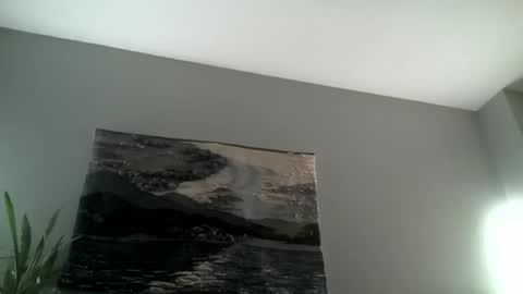 Hairiest Bear online show from 11/15/25, 08:00