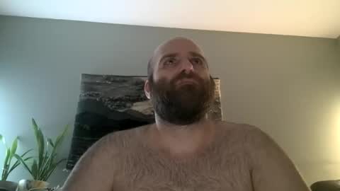 Snapshot of hairiestbear chatting on 03/01/26, 05:53 Hairiest Bear online show from 03/01/26, 05:53
