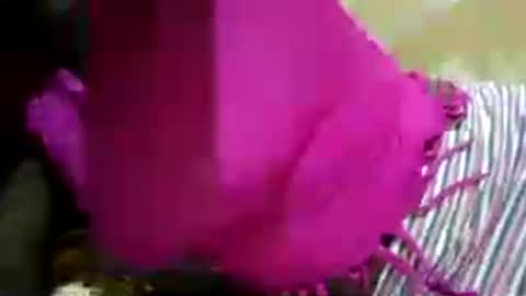 hairy_africanbae online show from 07/12/26, 10:01