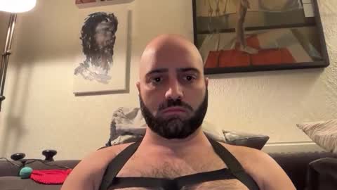 Snapshot of hairyleatherguy chatting on 11/02/25, 09:28 Hairy Guy online show from 11/02/25, 09:28
